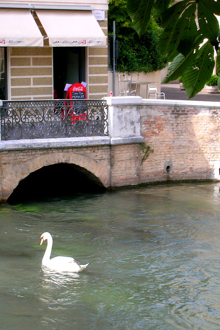 Treviso